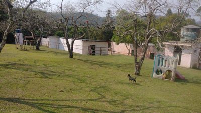 Terreno, 15 hectares - Foto 3