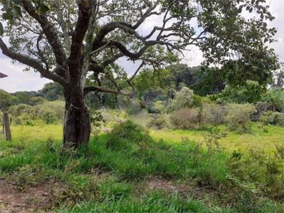 Terreno, 3 hectares - Foto 3