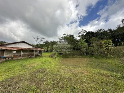 Sítio, 1 quarto, 26 hectares - Foto 5