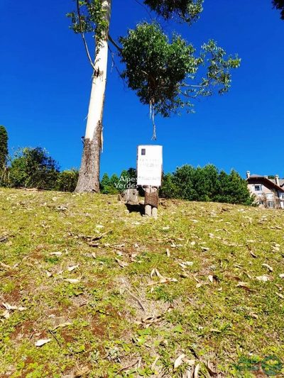 Terreno, 1112 m² - Foto 3