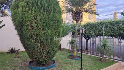 Casa, 2 quartos, 300 m² - Foto 3
