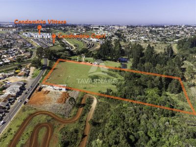Terreno, 4 hectares - Foto 1