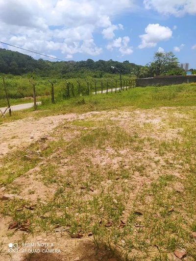 Terreno, 1583 m² - Foto 3