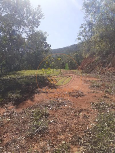 Fazenda, 2 hectares - Foto 1
