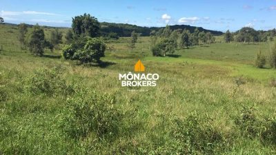Fazenda, 252 hectares - Foto 1
