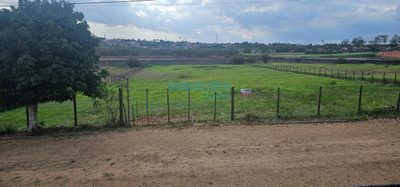 Terreno, 4310 m² - Foto 3