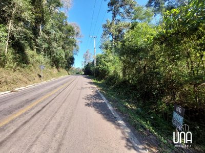 Terreno, 62 hectares - Foto 3