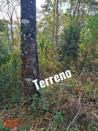 Terreno, 660 m² - Foto 2