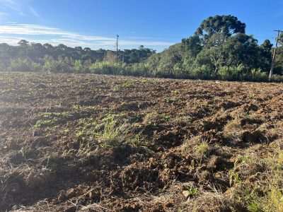 Terreno, 5000 m² - Foto 2