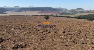 Fazenda, 639 hectares - Foto 1