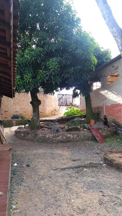 Prédio Inteiro - Foto 2