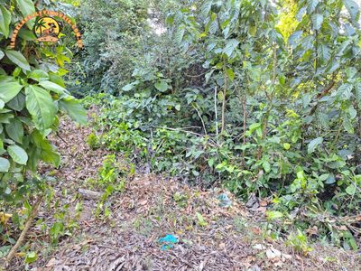 Loteamento e Condomínio, 804 m² - Foto 3