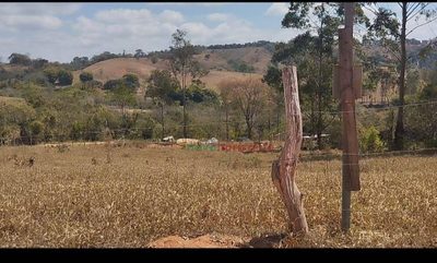 Chácara, 2472 m² - Foto 4