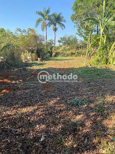 Terreno, 1001 m² - Foto 3