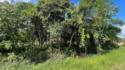 Terreno, 260 m² - Foto 1