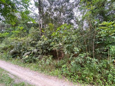 Terreno, 2750 m² - Foto 4