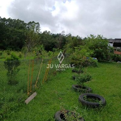 Sítio, 2 quartos, 240 m² - Foto 4