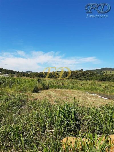 Terreno, 8 hectares - Foto 1