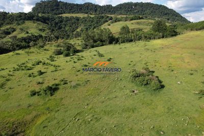 Fazenda, 211 hectares - Foto 3