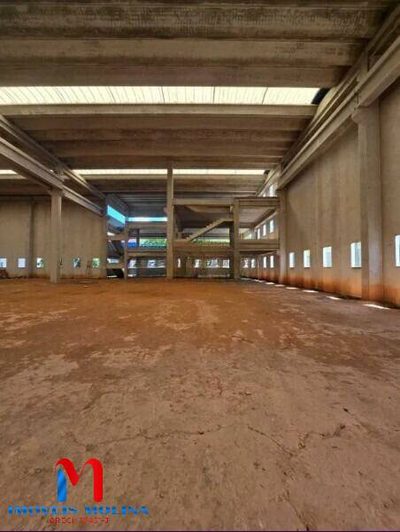 Depósito-Galpão, 5000 m² - Foto 2
