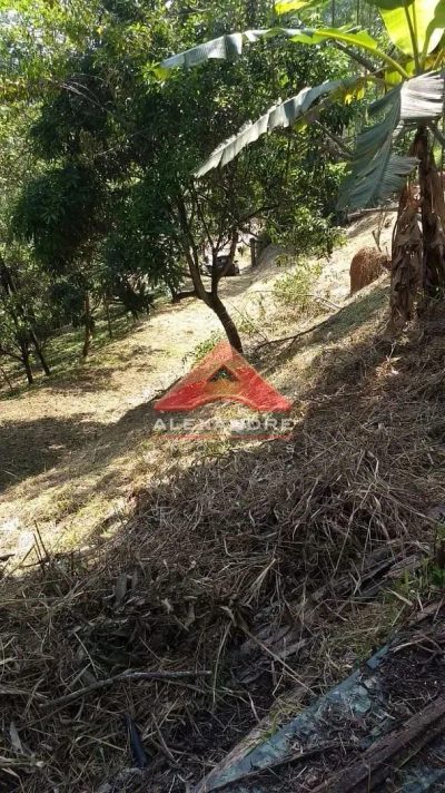 Terreno, 5000 m² - Foto 3