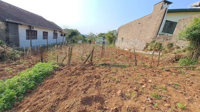 Terreno, 480 m² - Foto 2