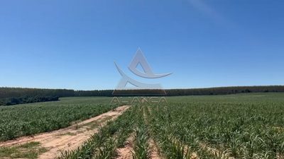 Fazenda, 44 hectares - Foto 4
