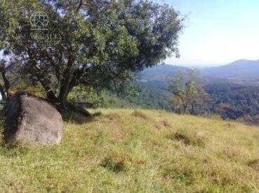 Terreno, 30 hectares - Foto 4