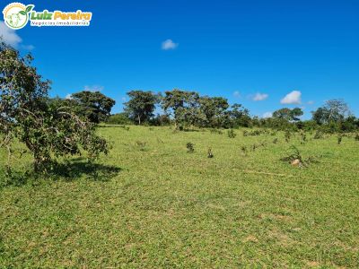 Terreno, 2000 m² - Foto 3