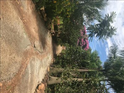 Fazenda, 106 hectares - Foto 5