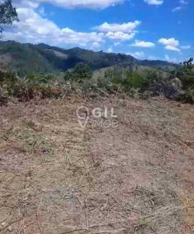 Terreno, 2 hectares - Foto 4