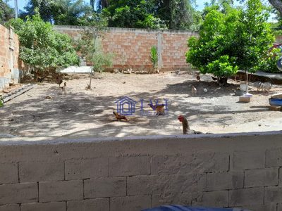 Chácara, 2 quartos, 1200 m² - Foto 2