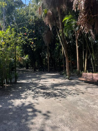 Casa, 4 quartos, 153 m² - Foto 5