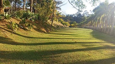 Sítio, 3 quartos, 700 m² - Foto 1