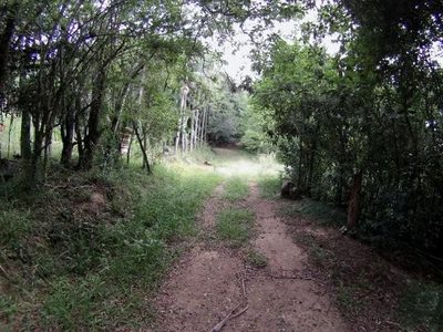 Sítio, 6679 m² - Foto 5