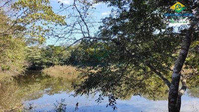 Chácara, 3 quartos - Foto 4