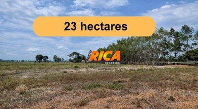 Sítio, 23 hectares - Foto 1