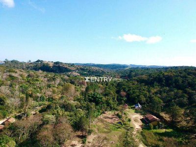 Sítio, 50 hectares - Foto 1