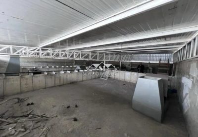 Depósito-Galpão, 700 m² - Foto 3