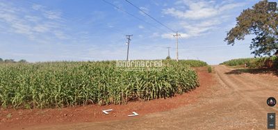 Terreno, 9 hectares - Foto 5