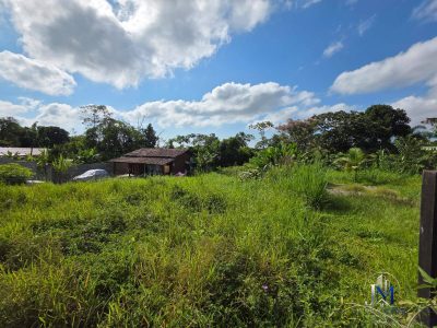 Terreno, 1467 m² - Foto 3