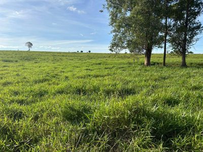 Fazenda, 560 m² - Foto 5