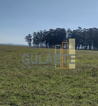 Chácara, 446 hectares - Foto 4