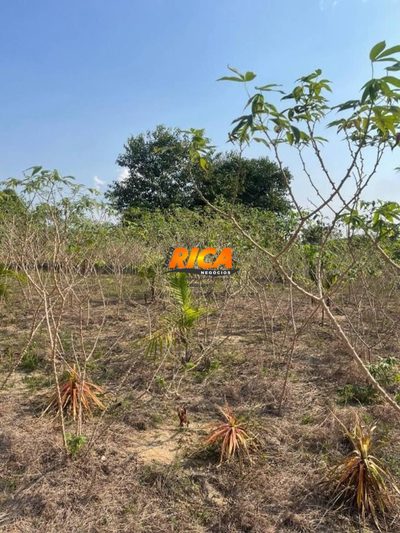 Chácara, 10000 m² - Foto 3