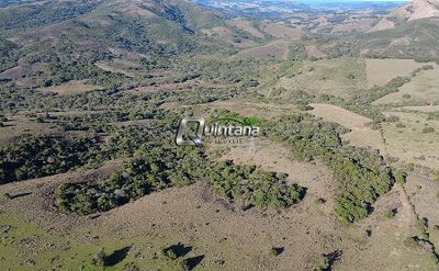 Fazenda, 230 hectares - Foto 2