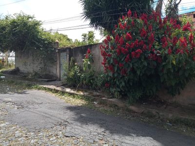 Terreno, 506 m² - Foto 3