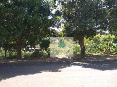 Terreno, 300 m² - Foto 5