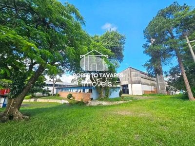 Terreno, 2 hectares - Foto 3