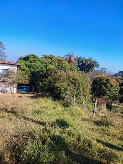 Fazenda - Foto 4