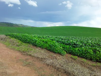 Fazenda, 14 hectares - Foto 2